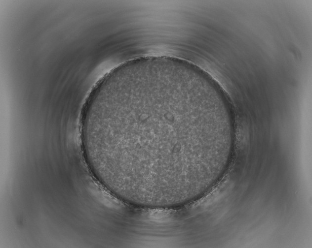 X0000111600832200907231234