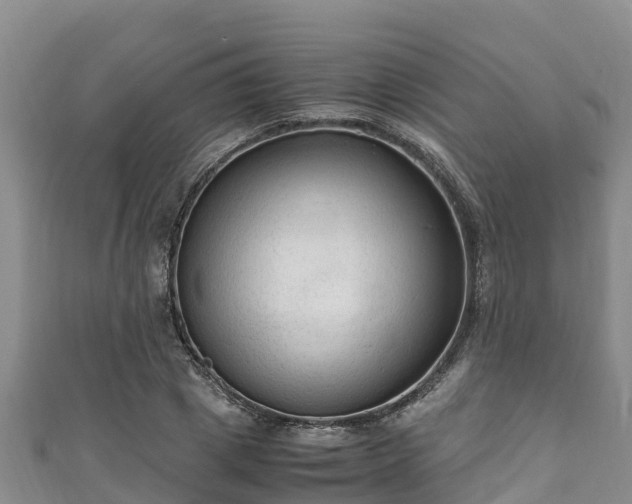 X0000111600833200907231234