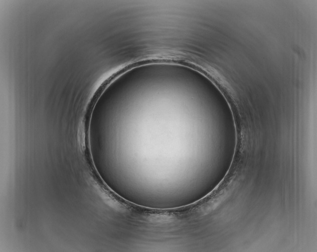 X0000111600838200907231234
