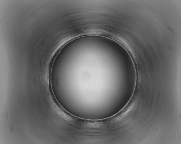 X0000111600843200907231234
