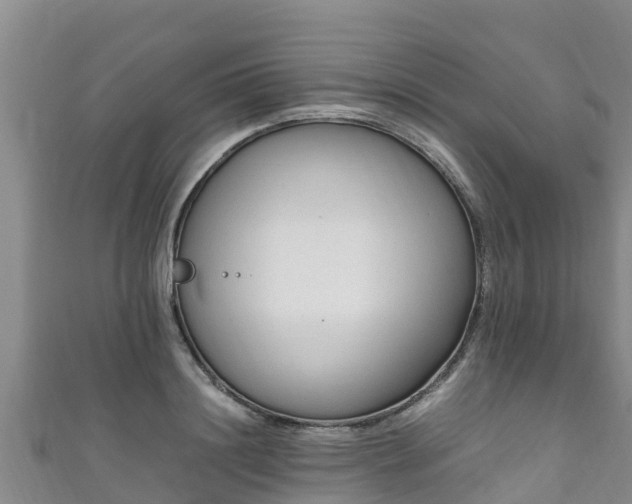 X0000111600844200907231234