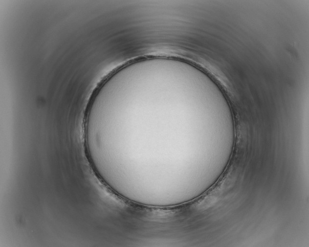 X0000111600848200907231234