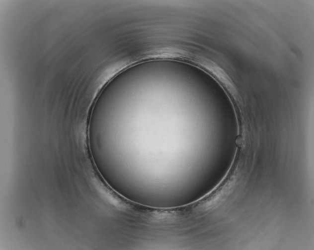X0000111600850200907231234