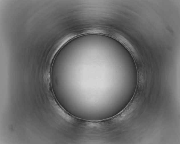X0000111600852200907231234