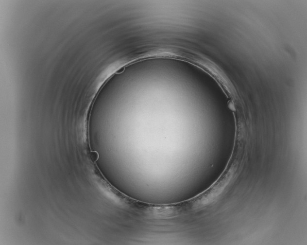 X0000111600858200907231234