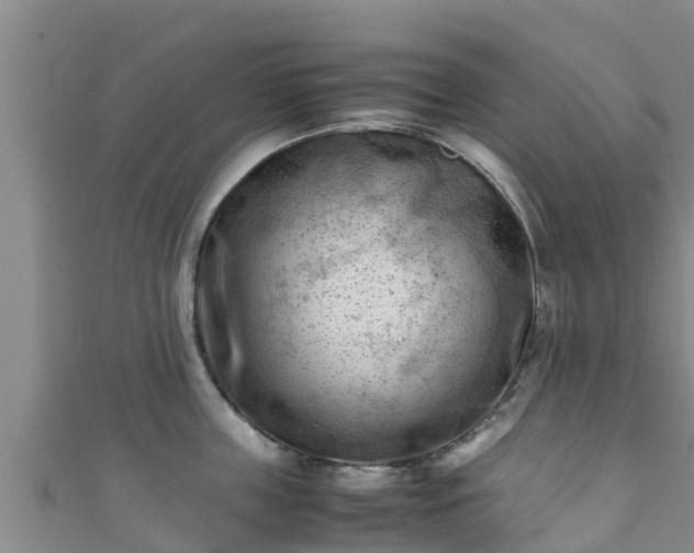 X0000111600859200907231234