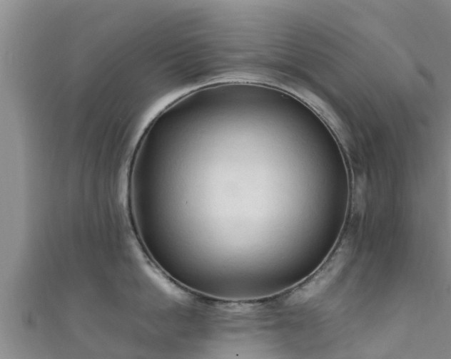 X0000111600862200907231234