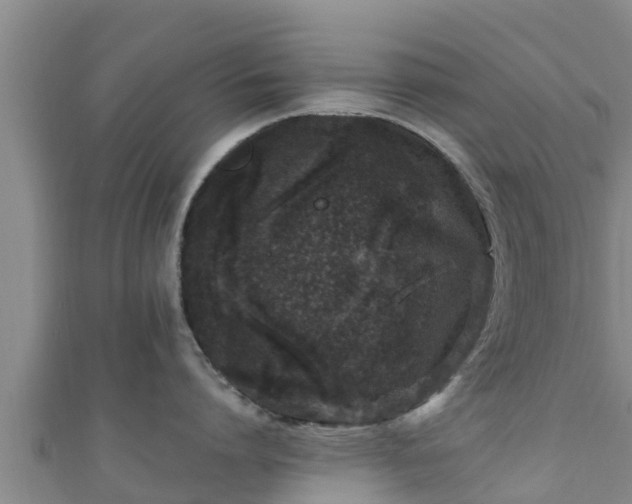 X0000111600864200907231234