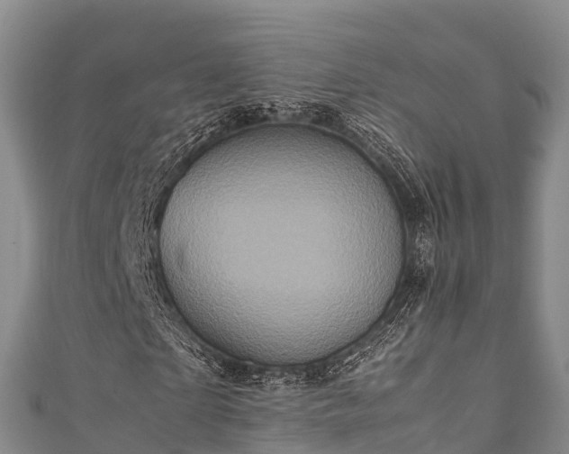 X0000111600865200907231234