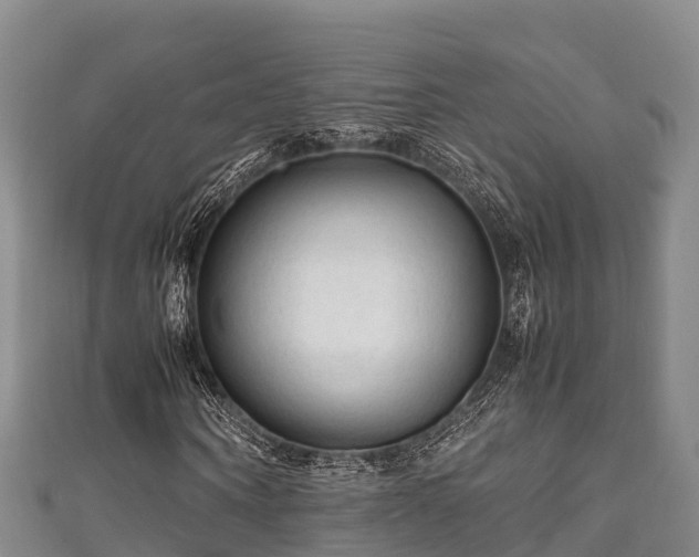X0000111600866200907231234
