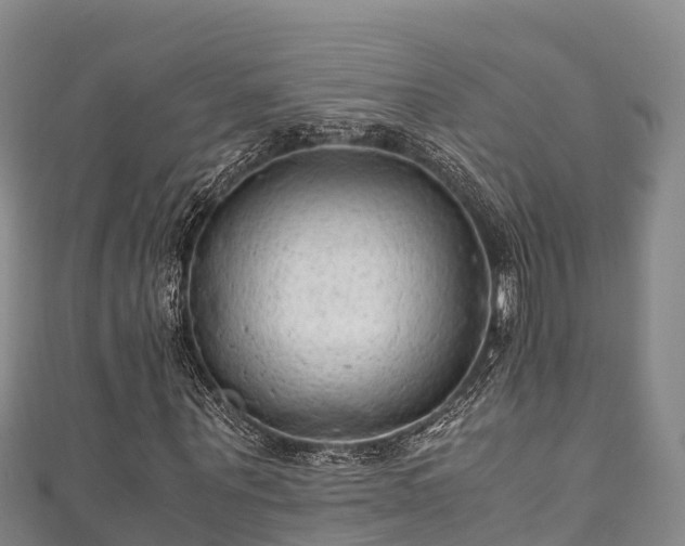 X0000111600867200907231234