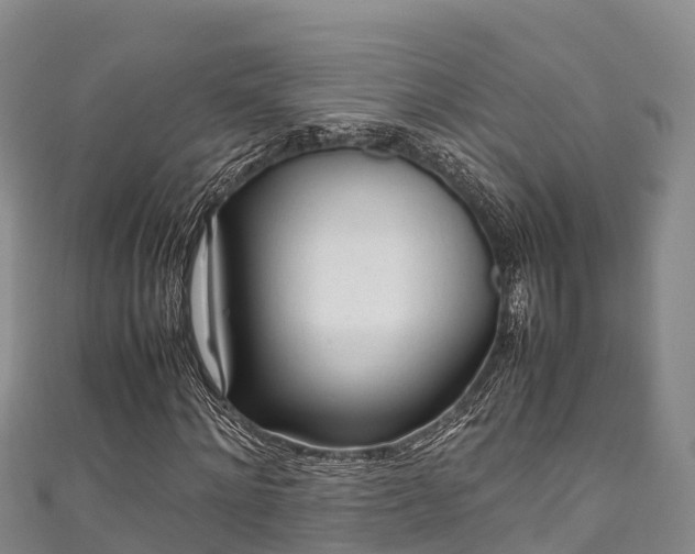 X0000111600868200907231234