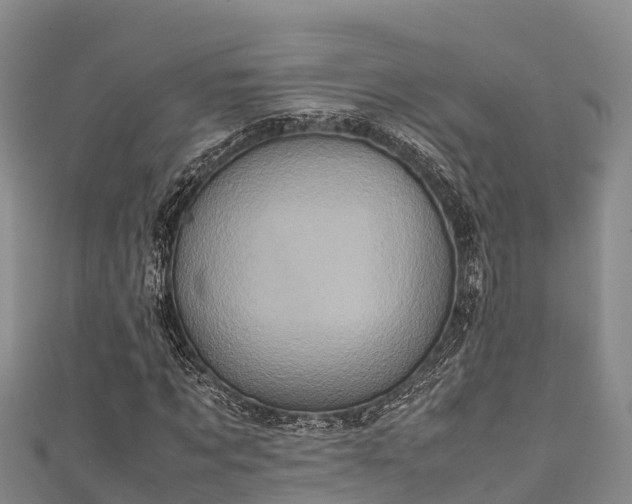 X0000111600869200907231234