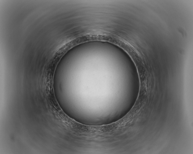 X0000111600870200907231234
