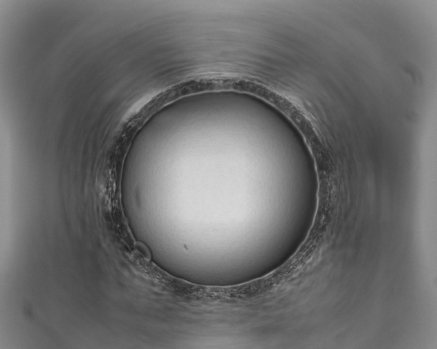 X0000111600871200907231233