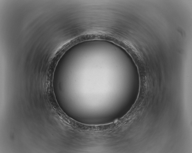X0000111600872200907231233