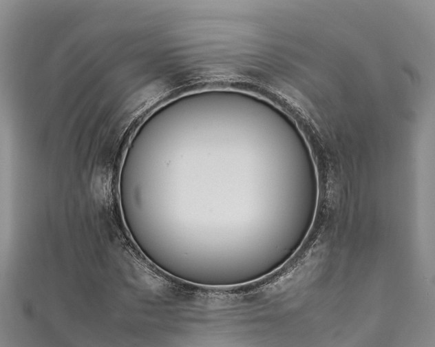 X0000111600873200907231233