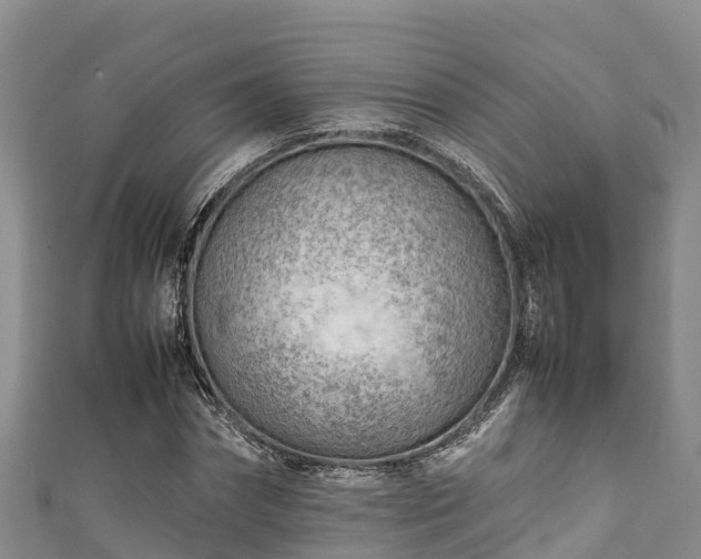 X0000111600874200907231233