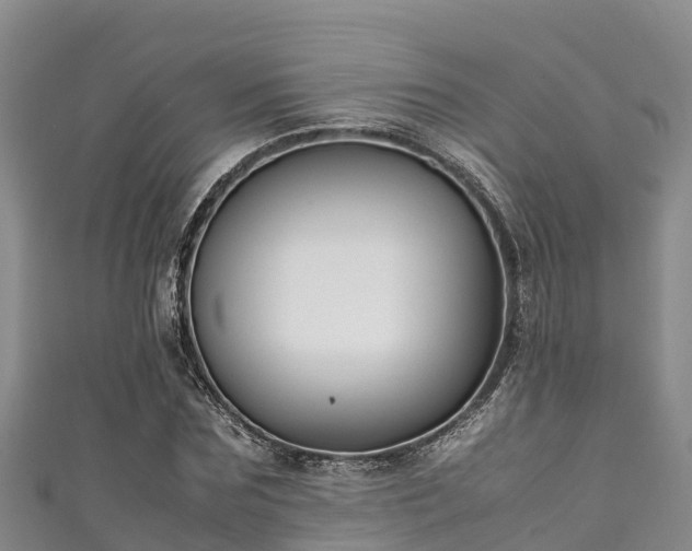 X0000111600875200907231233