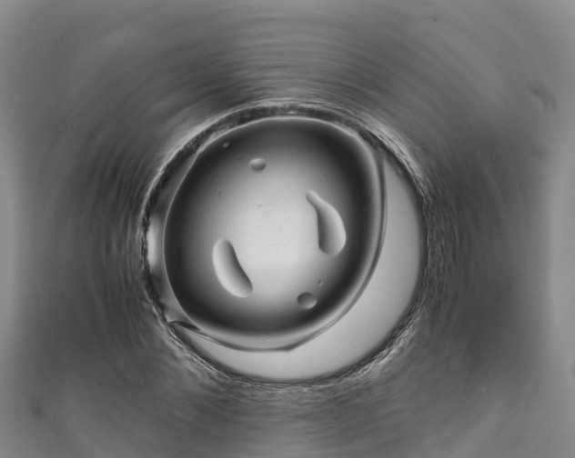 X0000111600876200907231233