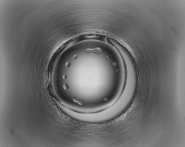 X0000111600877200907231233