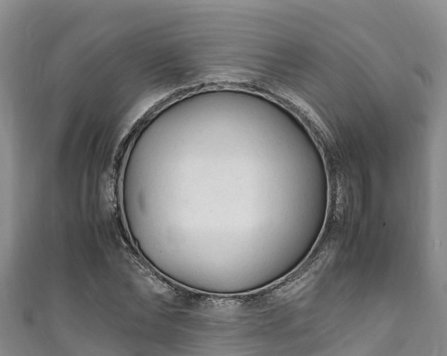 X0000111600878200907231233