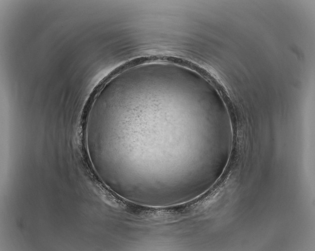 X0000111600879200907231233