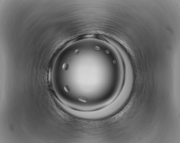 X0000111600881200907231233