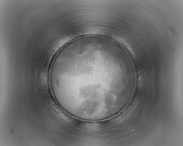 X0000111600882200907231233