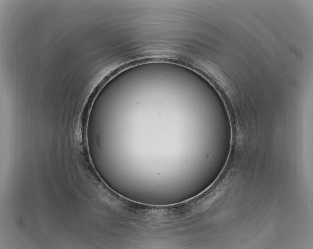 X0000111600883200907231233