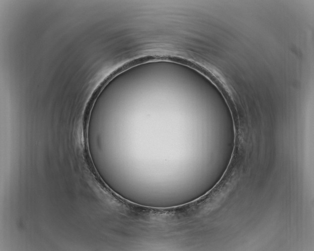 X0000111600887200907231233