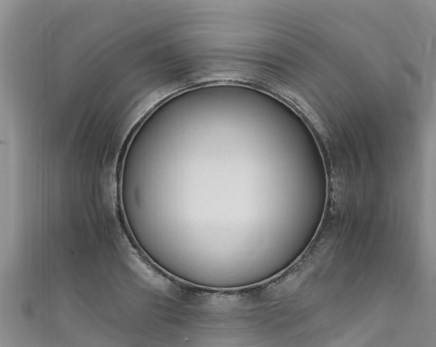 X0000111600890200907231233