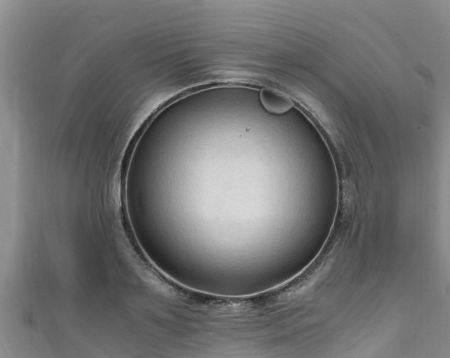 X0000111600891200907231233
