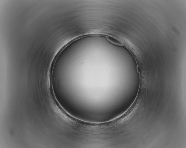 X0000111600892200907231233