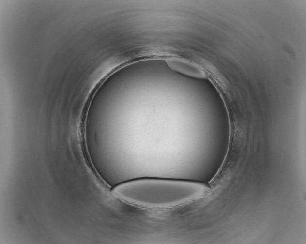 X0000111600893200907231233