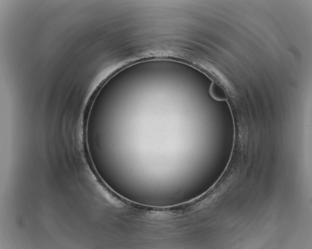 X0000111600894200907231233