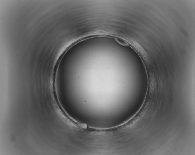 X0000111600896200907231233