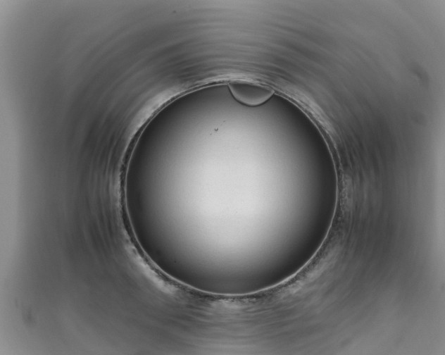 X0000111600898200907231233