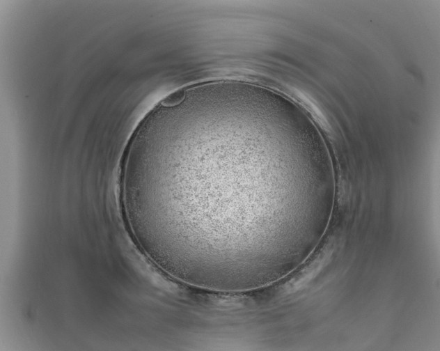 X0000111600899200907231233
