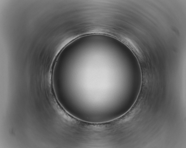 X0000111600900200907231233