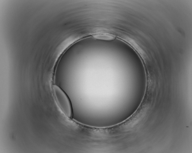 X0000111600901200907231233