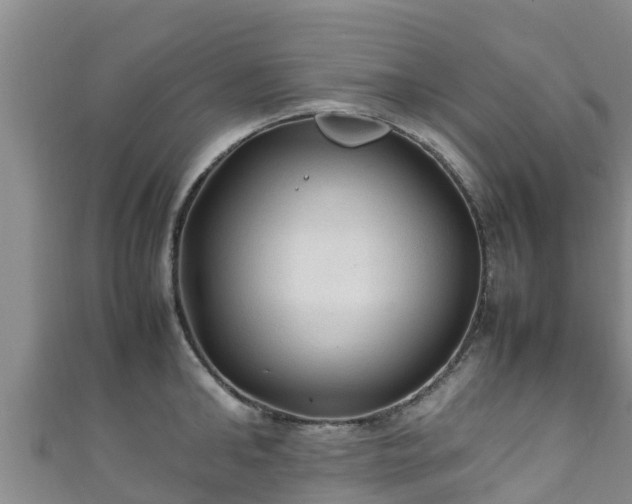 X0000111600902200907231233