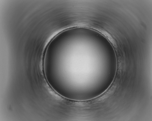X0000111600904200907231233