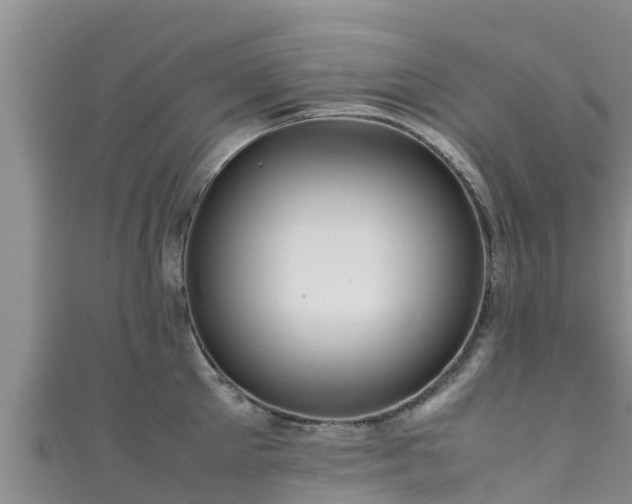 X0000111600905200907231233