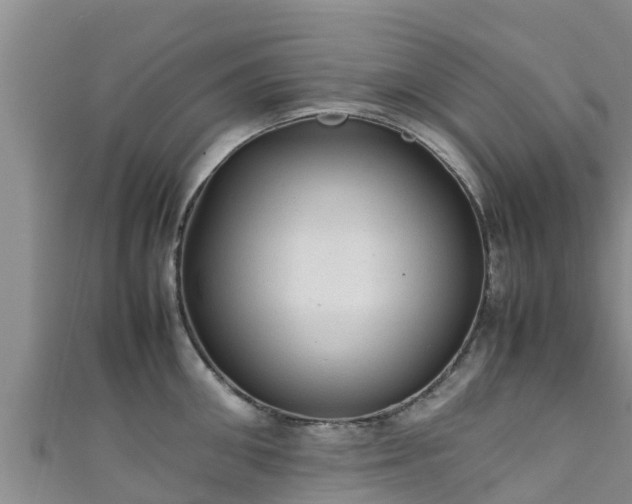 X0000111600906200907231233