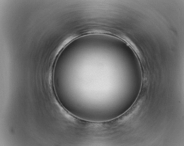 X0000111600909200907231233