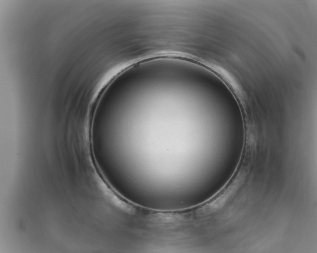 X0000111600910200907231233