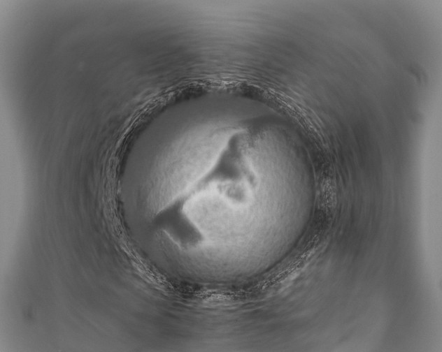 X0000111600913200907231232