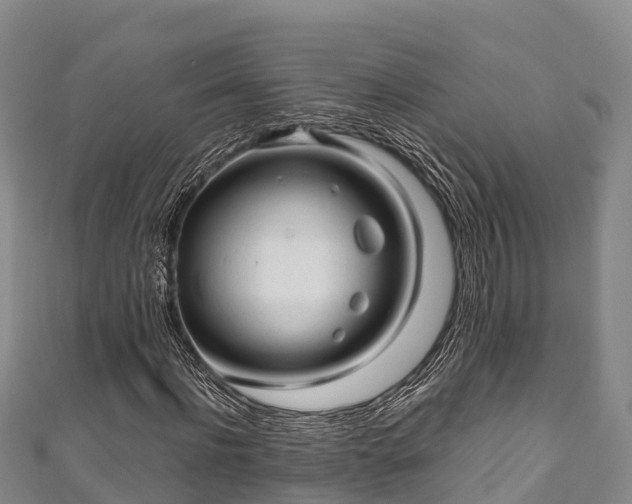 X0000111600916200907231232