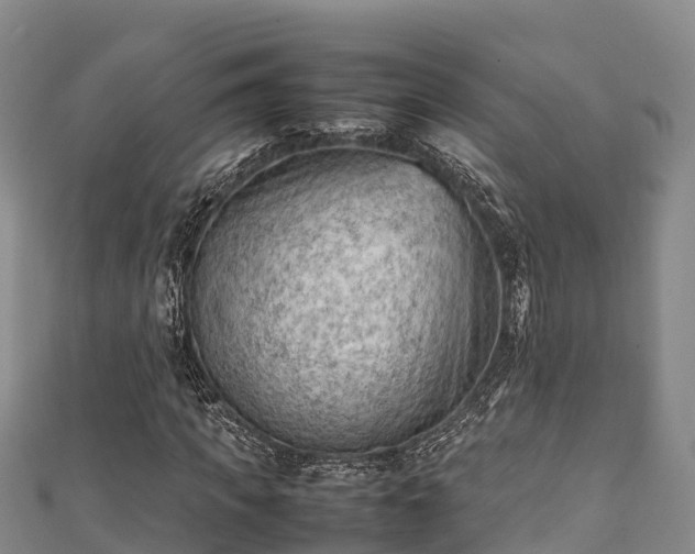 X0000111600917200907231232